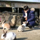 올래놀래 이미지