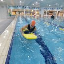 팀식스아쿠아키즈 이미지