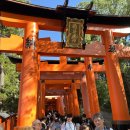 (주)유아이코리아엔터테인먼트 | 노쇼핑노팁 오사카 가족여행, 일정 명소 가격 모든사항 총정리