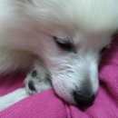 웃으면복이와요 이미지