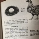 신의 존재를 믿지 않아도 되는 이유 - 확증편향 및 산수에 기초하여 이미지