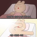 2월 일상(1) 약속을 줄이고 집에 있는 시간을 늘려봅니다