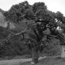 금대마을 이미지