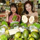 모텔파파야 이미지