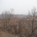 내리30-19 농로 Daum카페