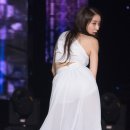 케이스텔라 이미지