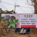 산골쌈밥