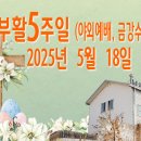 부활 5주일 (야외예배, 금강수목원) _ 2025년 5월 18일 이미지