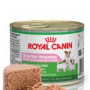 베이비독 이미지