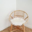 포시랍개 이미지