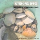 밧개플레이스2 | [태안]밧개해수욕장 해루질 조과 공개! 바지락파스타 해먹은 후기:)