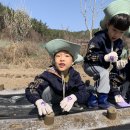 🥔봄맞이 감자 심기 체험🥔 이미지