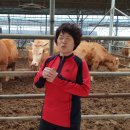 야곱한우농장 이미지