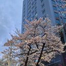신암근린공원2 네이버블로그