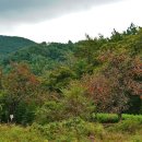 구이저수지 둘레길 이미지