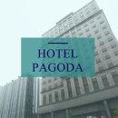 아그리나 D 이미지