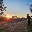 산해진미민박 이미지