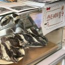 스테이블루 | 군산 스테이블 초코바게트 현장구매 / 예약 후기 발로나 초코스틱 초코바게트 맛후기