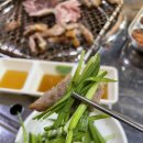 돼지영농후계자(구영점) 이미지