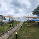 코브나인 이미지