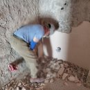 대저파출소 이미지