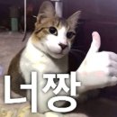 밈