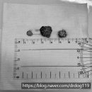 해운대조은동물병원 이미지