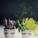 자유무도장 이미지