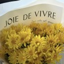 헌2찜닭 | 내 취향저격 알럽 홀스 환영해