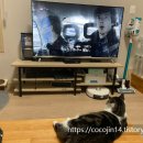 525그루밍 이미지