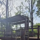 숲속파도소리 이미지