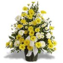 수원-0872 이미지