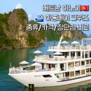 파이오니 | [베트남준비]70대 부모님과 함께하는 베트남 하노이 여행 준비(하롱베이 크루즈 비교)