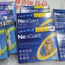 신세계약국 이미지