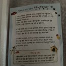 댕냥점빵 이미지