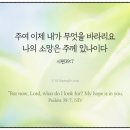 소망 이미지