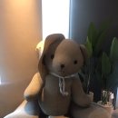 역삼-1506 | [서울호텔추천]신라스테이 서초 에서 호캉스 하기