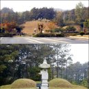 창락1리 | 성주 도씨(星州都氏)의 연원