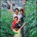 신기가족농장 이미지