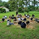 우리삶문화옥당박물관 이미지