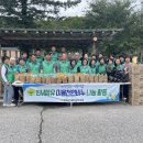 친환경세제와 천연비누 이미지