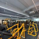 몸이 예뻐짐 이미지