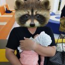 아이숲연합소아청소년과의원 이미지