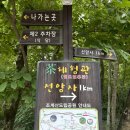 승원보아 염소나라 | 유네스코 세계유산ㅣ순천 조계산, 선암사