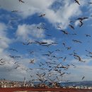 눈으로보는세상 이미지