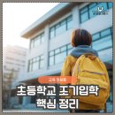 아롱이다롱이 | 초등학교 조기입학, 득일까 실일까? (장단점, 신청 방법 총정리)