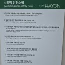스테이 하연 네이버블로그