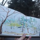 초안산 하늘꽃정원 이미지