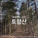 오동수 화장실 | 경주 국립공원 토함산 등산 코스 불국사 공영 주차장 석굴암 봉화대 추령 갈림길 블랙야크 100대 명산...