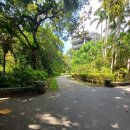 남문정 | 2일차 여행-"도심 속에서 자연과 역사를 동시에 만끽할 수 있는 무료 휴식처" 타이베이 식물원 관람 후기